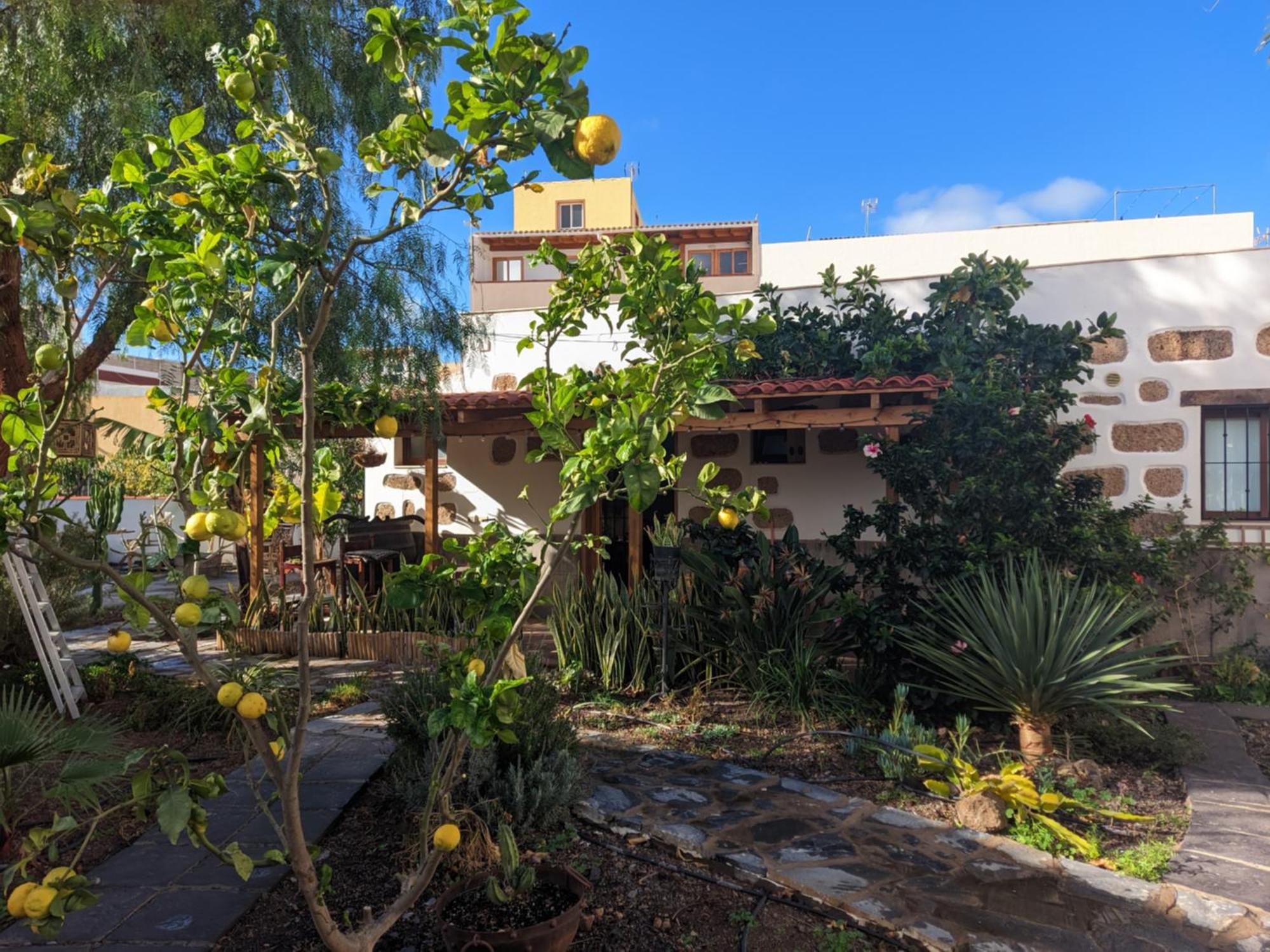 Casa Roberta Agua Apartman Arona  Kültér fotó